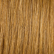 Hairdo 16″ HUMAN HAIR WRAP AROUND PONY